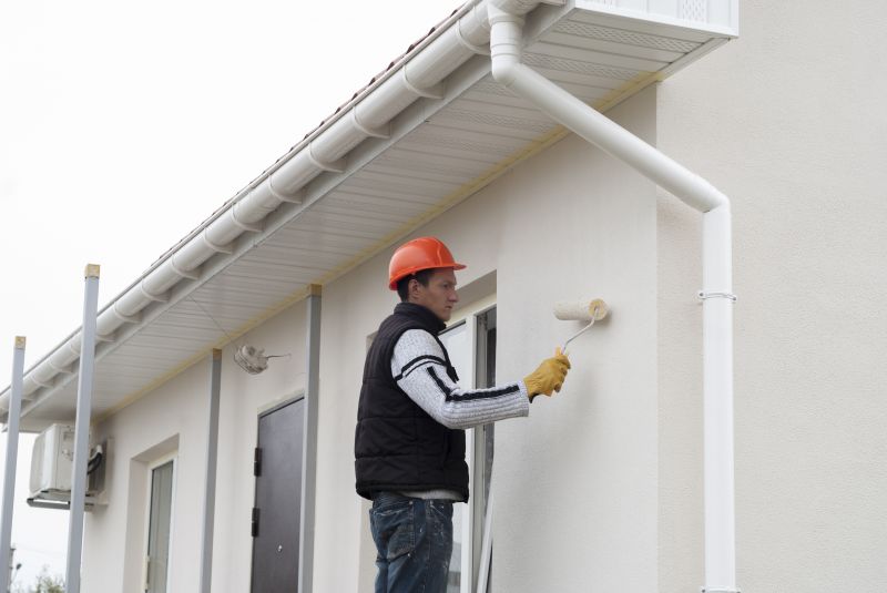 Exterior Cladding Painting Service