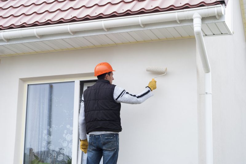 Exterior Cladding Painting